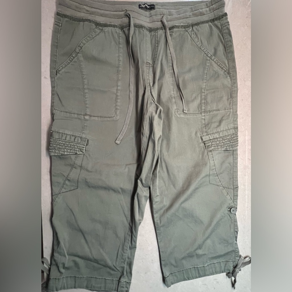 Supplies Women’s Crop Pants Size 10